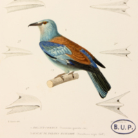 m5446vol4pl39fig1.jpg