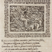xvi688p45.jpg