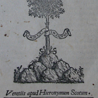 xvig1419pdtmarque.jpg