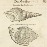 med21p687fig1et2.jpg