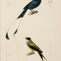 m5446vol4pl21.jpg