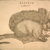 med18p369.jpg