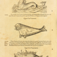 med22p1070.jpg