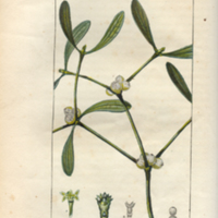 med573t4pl190.jpg