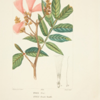 med2895t17livra1pl9.jpg