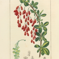 med573t2pl65.jpg