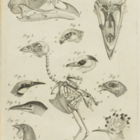 70668vol1plp240.jpg