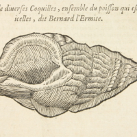 med21p686fig2.jpg