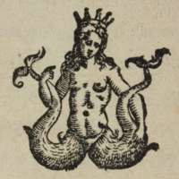 XVI419piece1pdtmarque.jpg