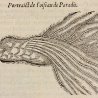 med22p1087.jpg