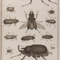 folio2017t27histnatpl75.jpg