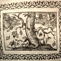 xvi688p171.jpg