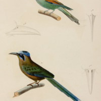 m5446vol4pl45.jpg