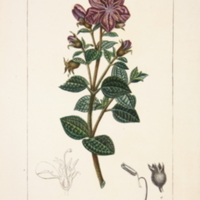med2895t17livra11pl10.jpg