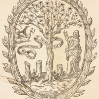 xvig1669pdtmarque.jpg