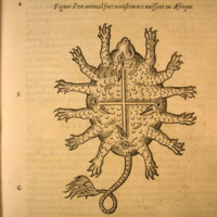 med22p1091ht.jpg