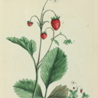 31223t3pl280.jpg