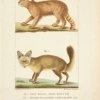 med2895t17livra4pl1.jpg