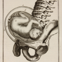 med509fig18.jpg