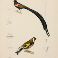 m5446vol4pl34.jpg