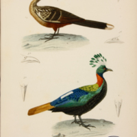 m5446vol4pl59.jpg